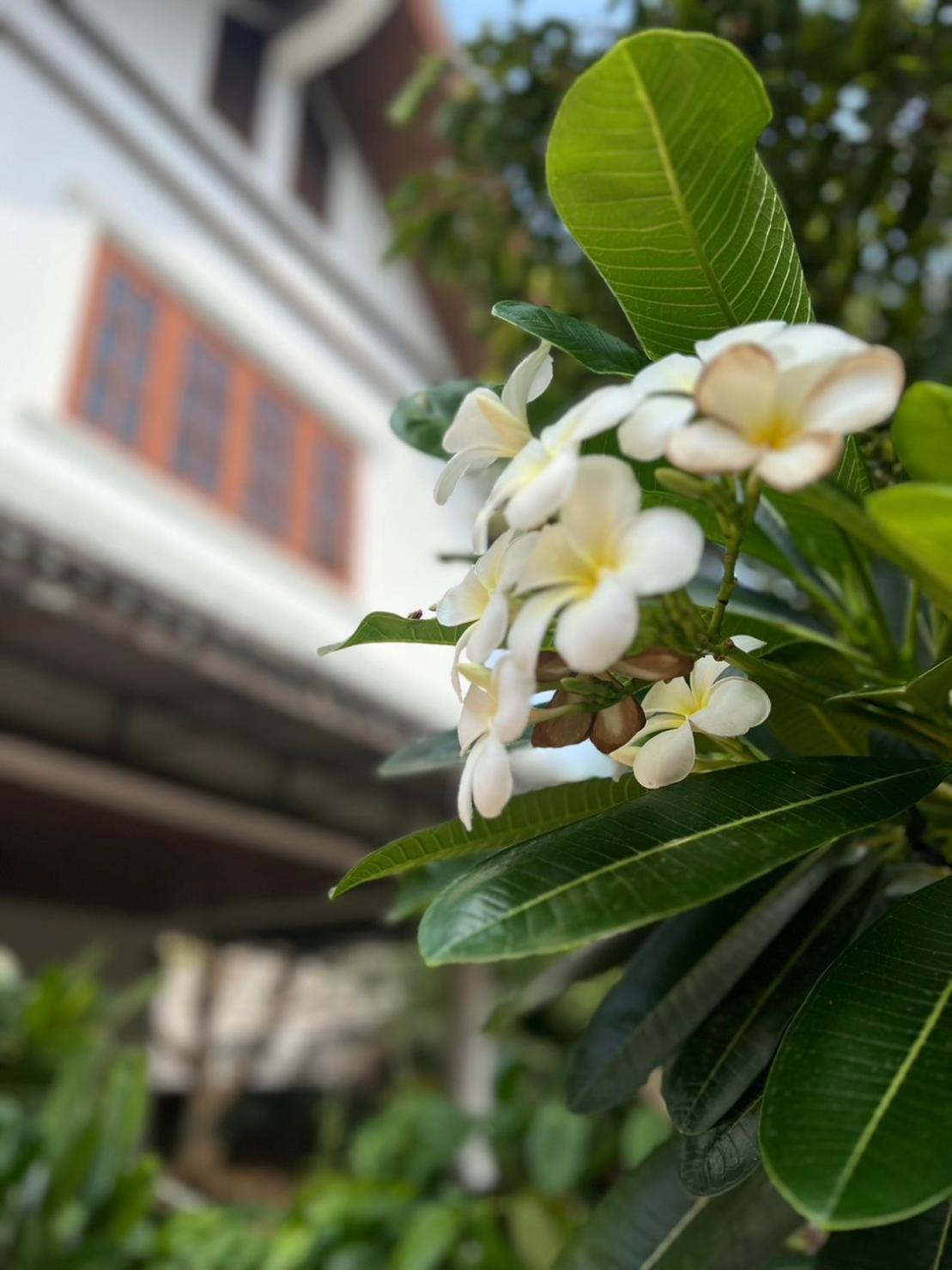 The Royal Shilton Resort Chiang Mai Exterior photo