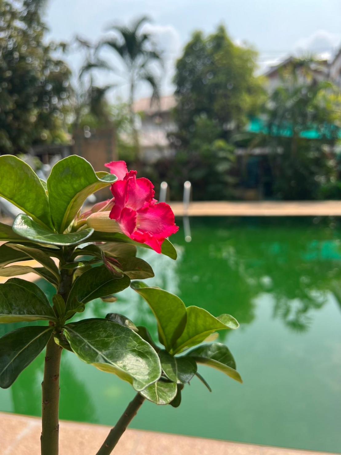 The Royal Shilton Resort Chiang Mai Exterior photo